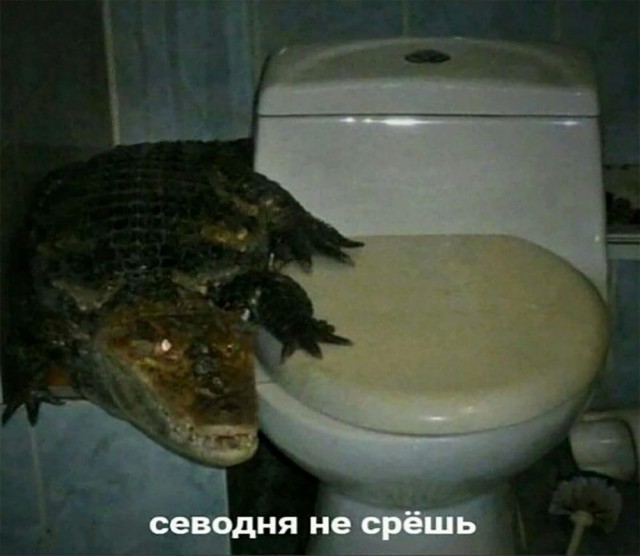 Картинки и мемы, всяко разно - 171