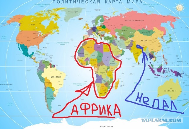 Последние кадры россиянина, который встретил носорога в Непале