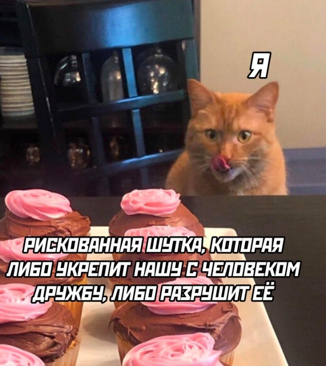 Картинки и мемы, всяко разно - 183