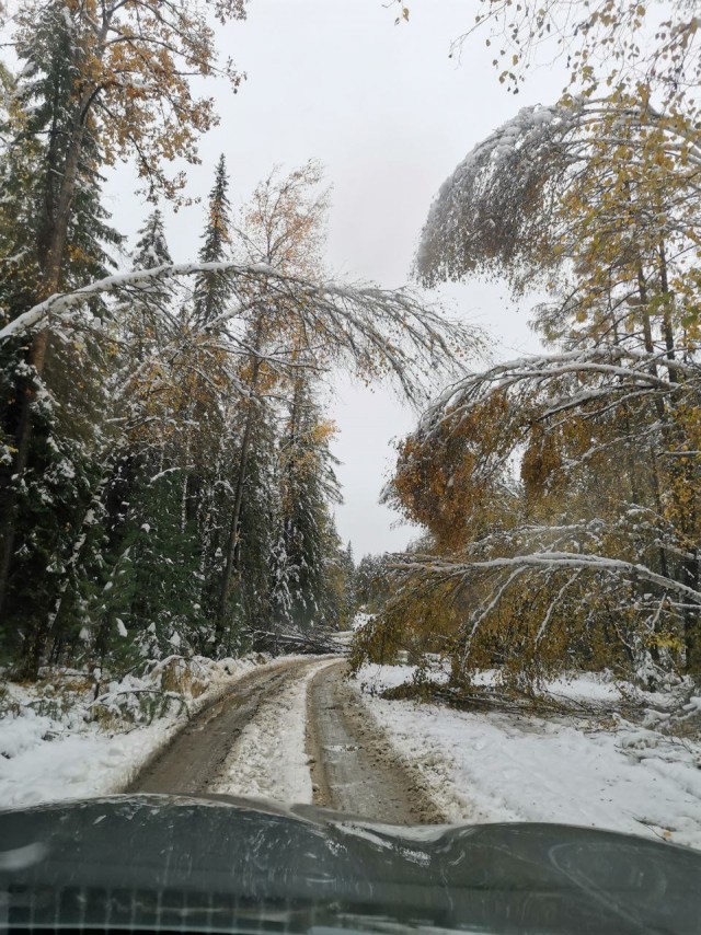 Краски осени