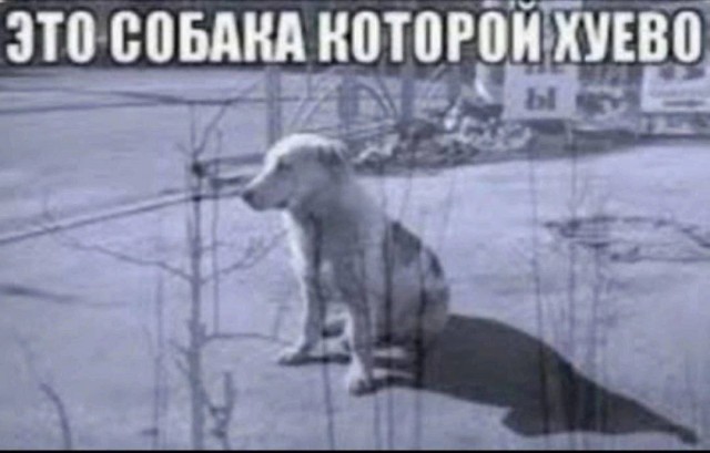Всего понемногу. От 1.11.23