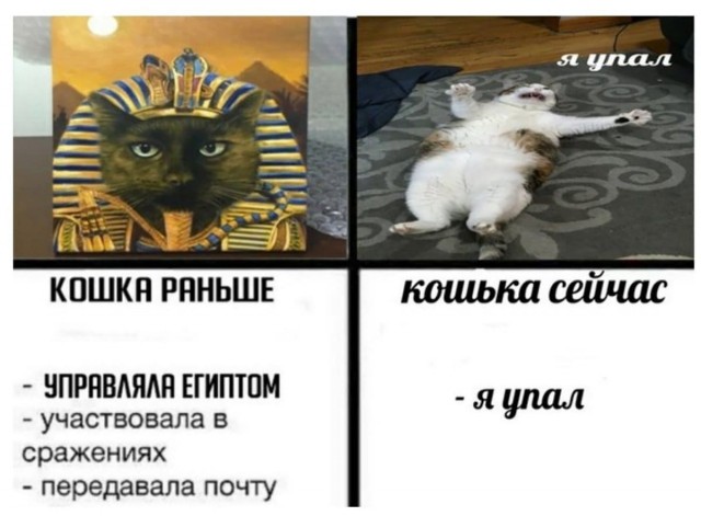 Модель
