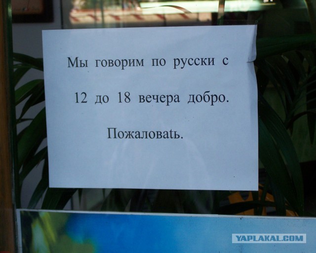 Хочу дачу на канарах!