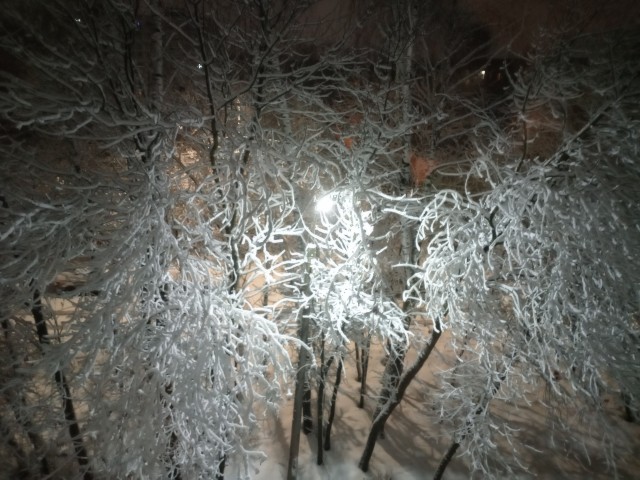 Зимняя красота