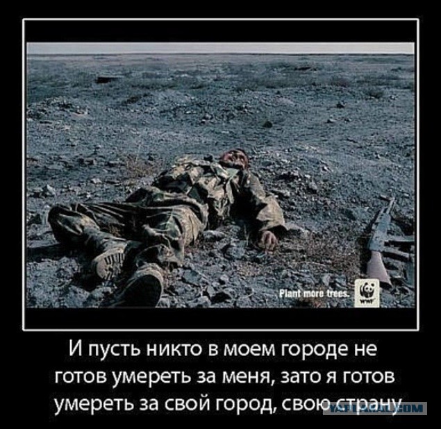 Группа крови на рукаве.