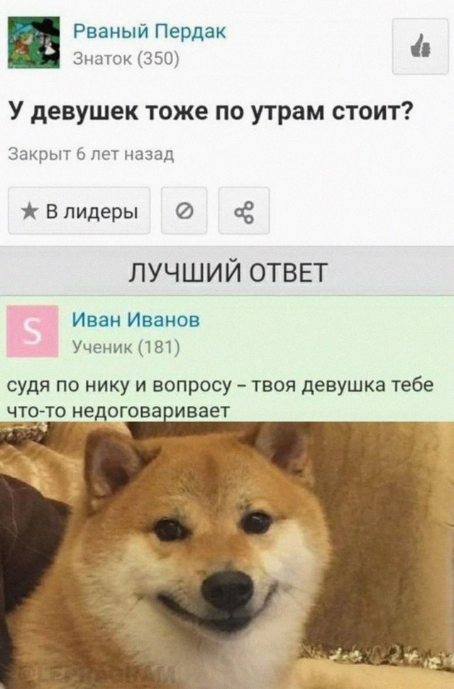 Сборник бабаянов или неожиданная помойка