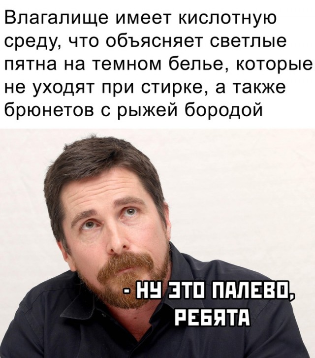 Весёлый полтишок 27.09.24