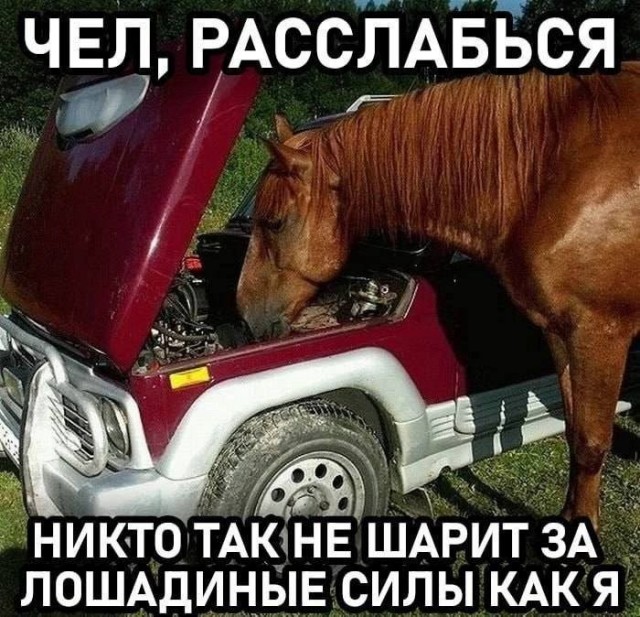 Завалялось тут случайно немного забавных картинок
