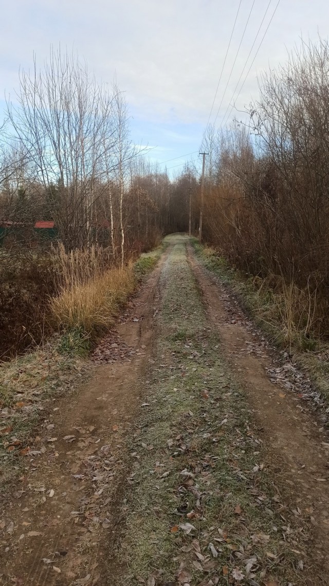 Ну вот и началась...