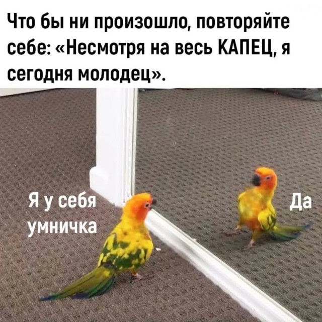 Завалялось тут случайно немного забавных картинок