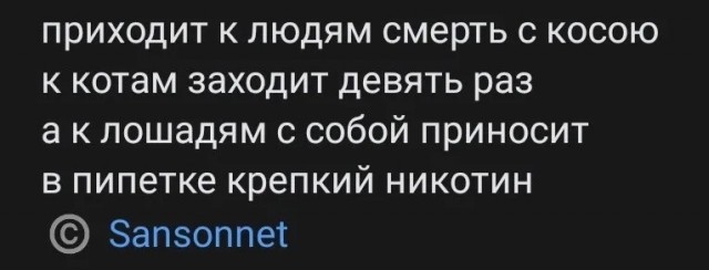 Немного забавных картинок от 19.01.2025