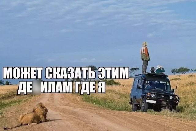 Картинки не для всех