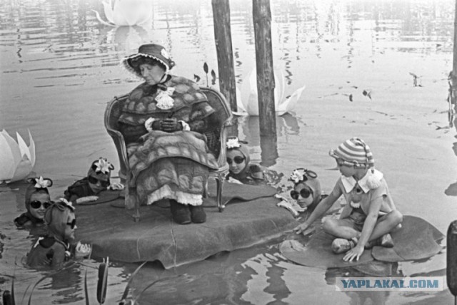 Маразм крепчал...