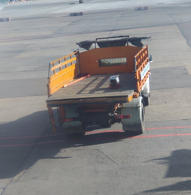 Доставка опасного хышника