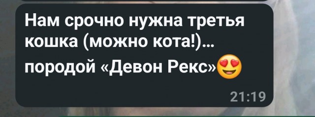 Это уже не собака, а собакосодержащий продукт: