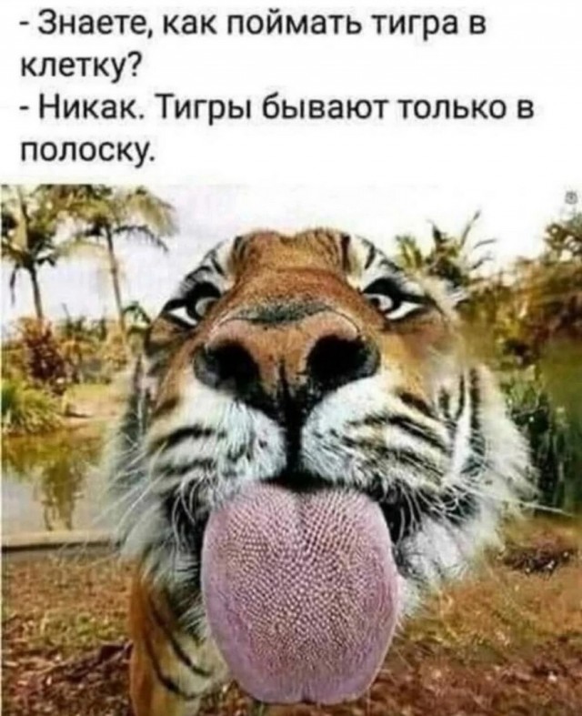 Завалялось тут случайно немного забавных картинок