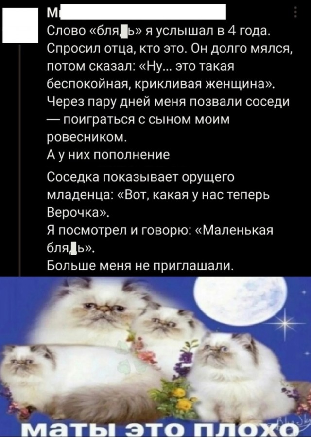 Так себе картинки 04.06.25