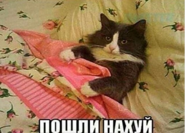 Папка с ответами