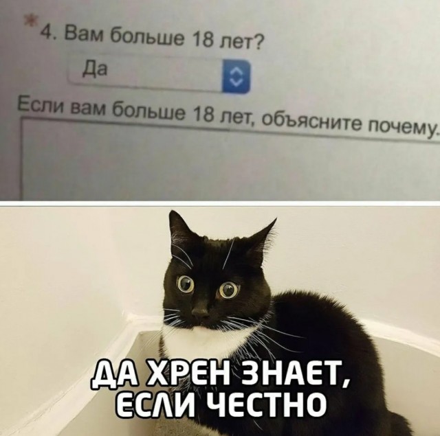 Завалялось тут случайно немного забавных картинок
