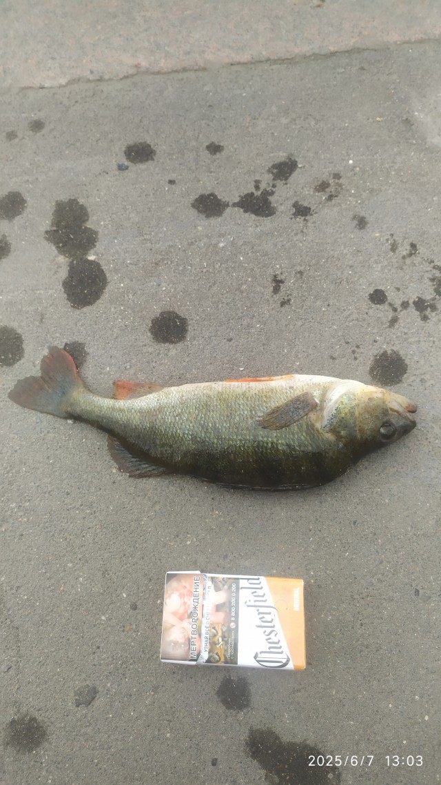 Сходил сегодня опять порыбачил у Автозаводского моста на МР