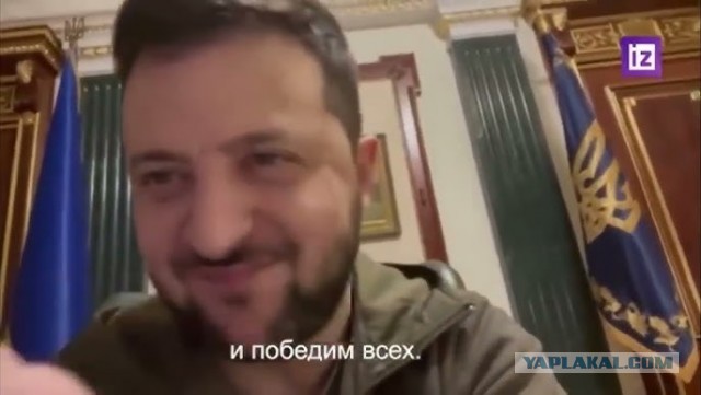 Сиськи