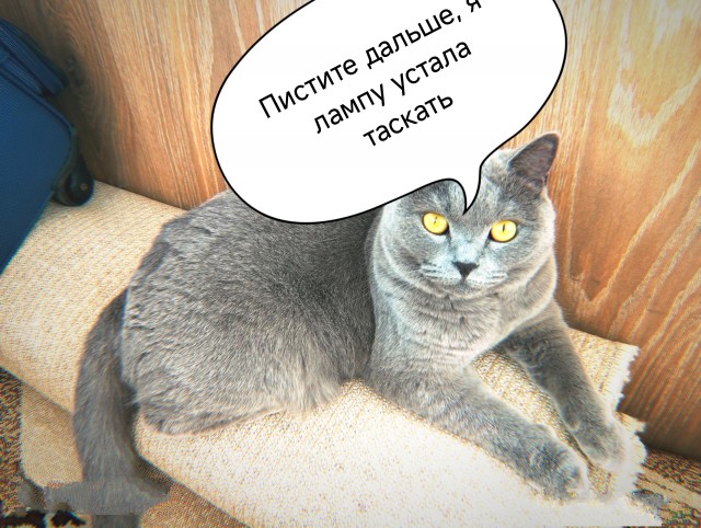 Адекватная мать⁠⁠
