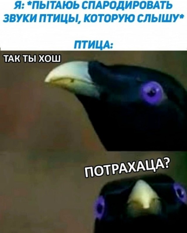 Быстрая деградация