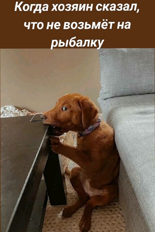 Так себе картинки 13.09.25