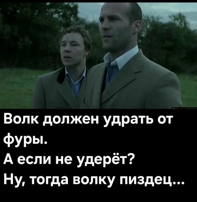 Волк vs фура