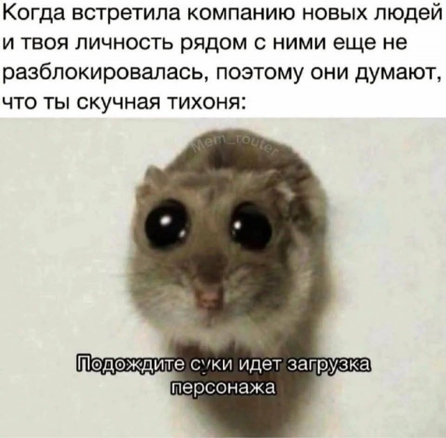 Маленькая пятница 22.10