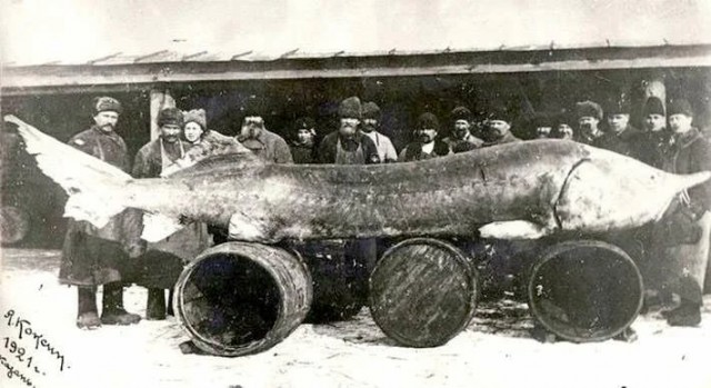 «Ловись рыбка большая...» Рыболовный бум в СССР. И четверг, рыбный день однако