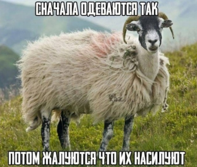 Деградация