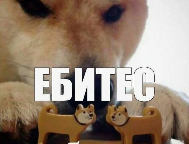 Конституцию для зумеров обнаружили в Читай-городе