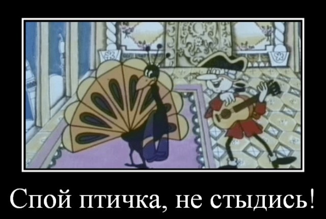 Прямой эфир с чемпионом-петушарой пошёл немножко не по плану