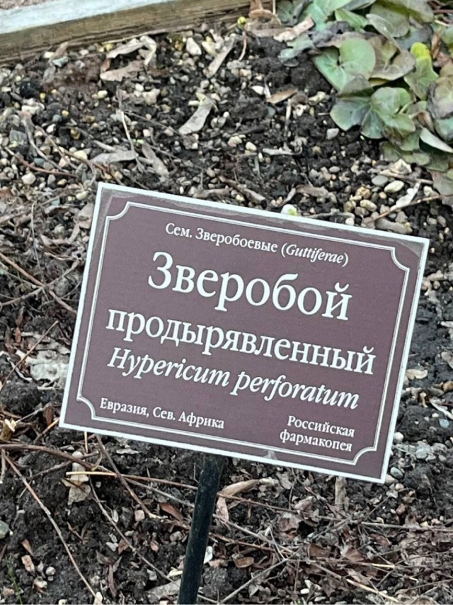 Кто ты сегодня?