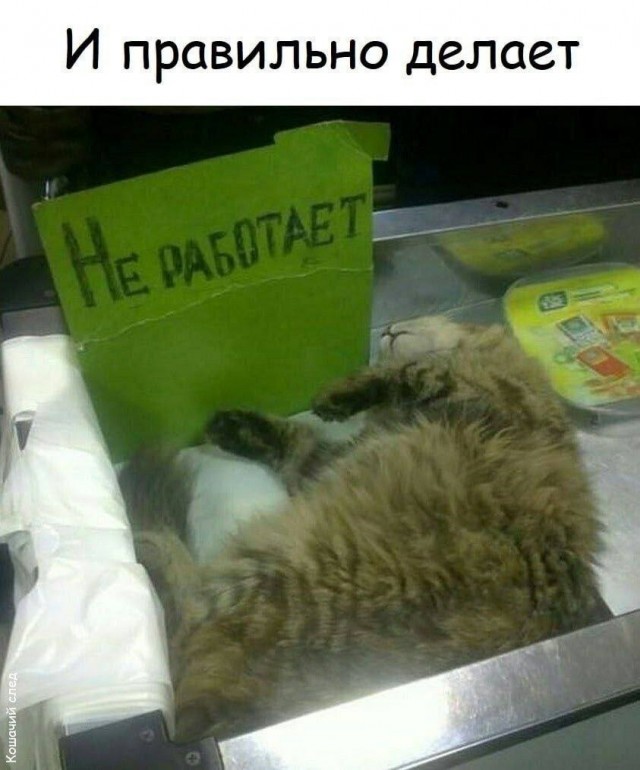 Картинки для деградации 176 (разной степени свежести)