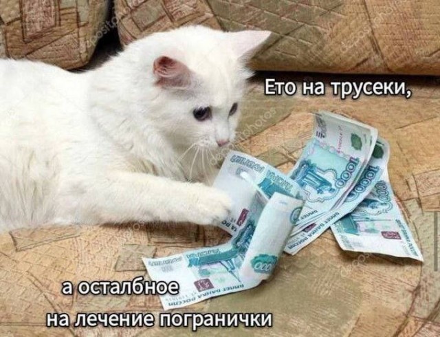 Веселые картинки в пятницу (17.04)