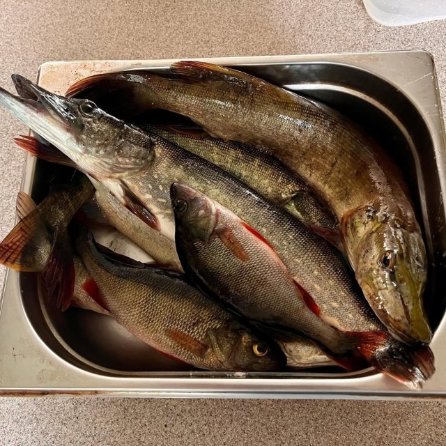 Жабья похлёбка