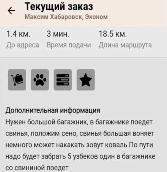 В Хабаровске проходят съёмки фильма «Смешарики»