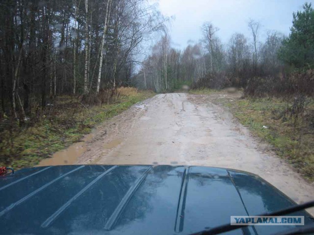 Хобби живёт вопреки.