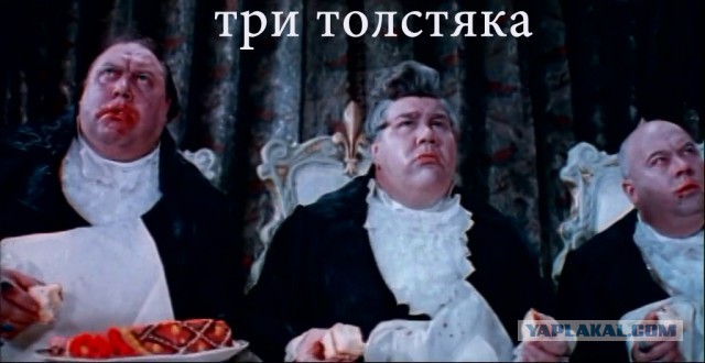 Любимая киноеда