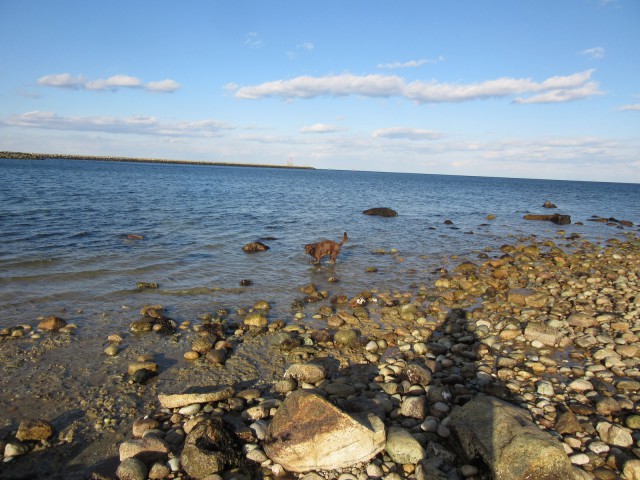 Деревенская Америка