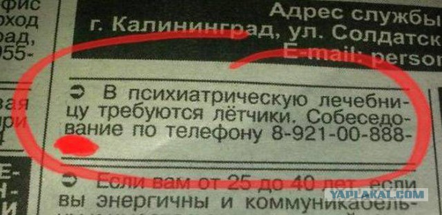 Веселости которые встретились сегодня