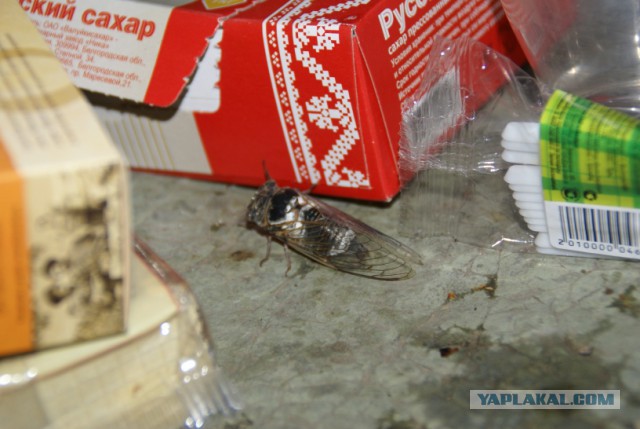 Поездка на Малый Утриш