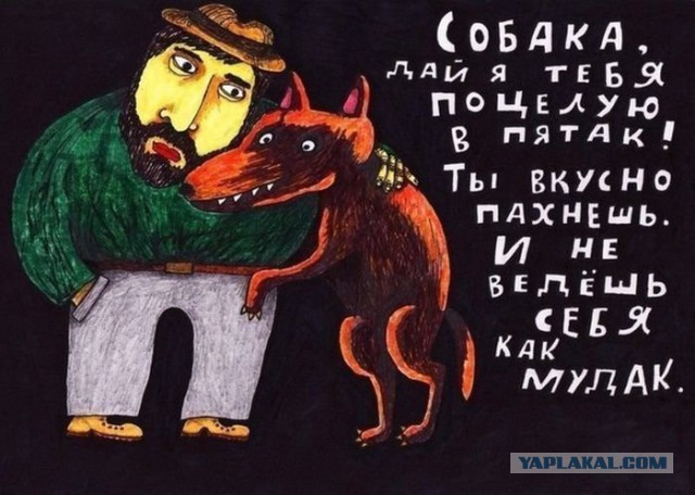Плюшкиным посвящается