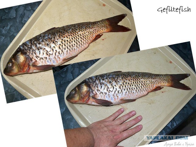 По следам прославленных кулинаров, День повара – 20 октября.