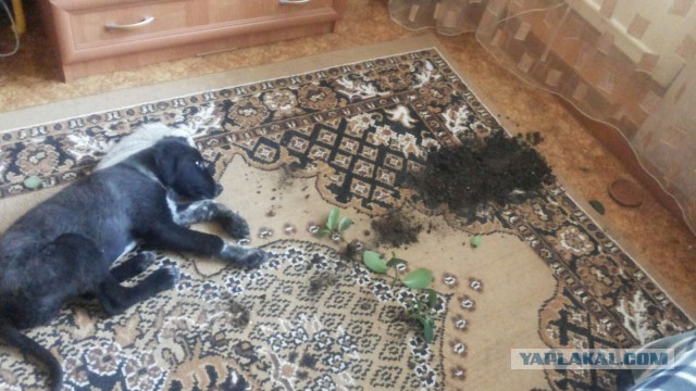 Неприятности разные, подборка. ч.2