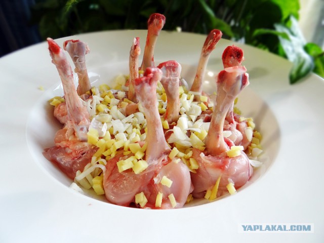 Соси – грызи, кусай - запивай