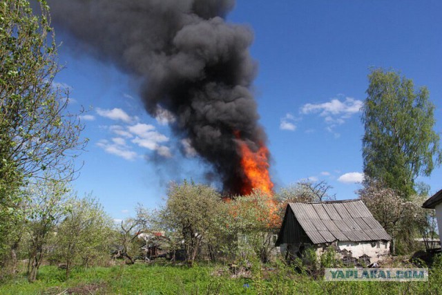 Простая маленькая героиня