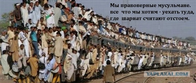 Куда делись беженцы?